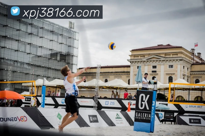 新葡京娱乐场平台生态图